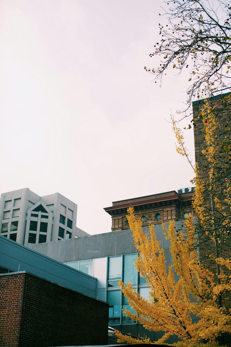 Drakarion Rift Fitness Location